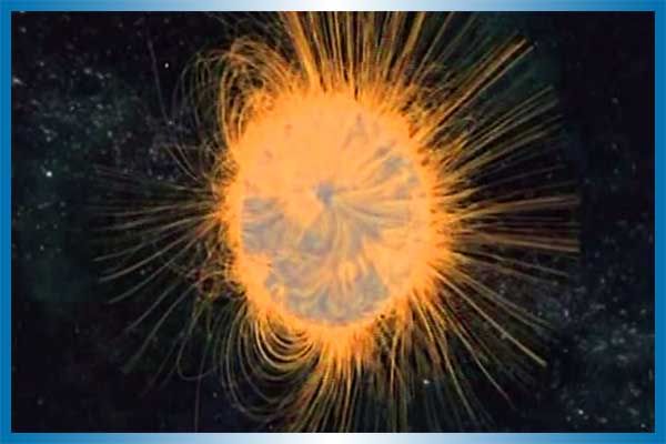 Sun's Magnetic Field is very twisted like tangled web