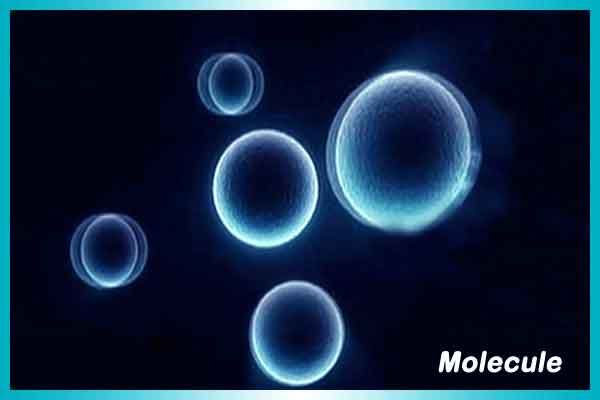 molecule