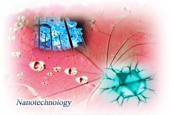 Nanotechnology in nature and science