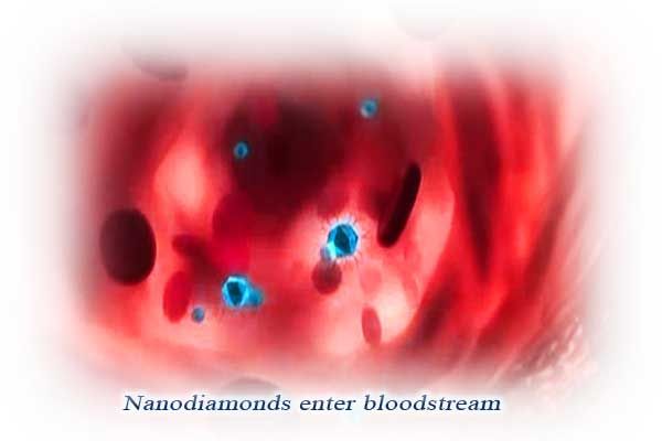 Nanodiamond in bloodstream