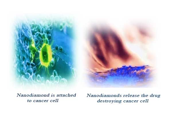 Nanodiamond is attached to cancr cells, then it releases the drug and caccer cell is destroyed