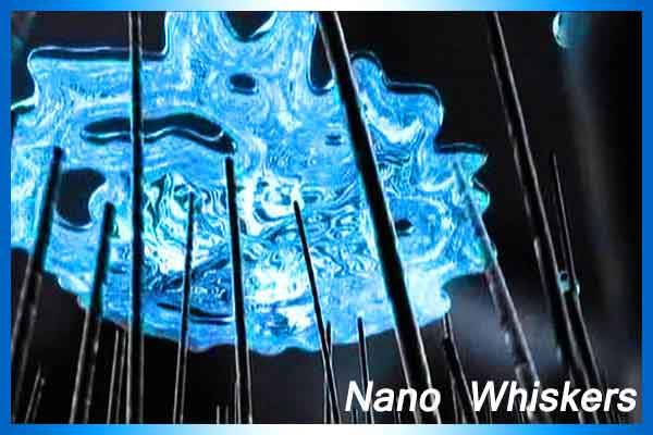 Nano-Whiskers keep the water away from clothes