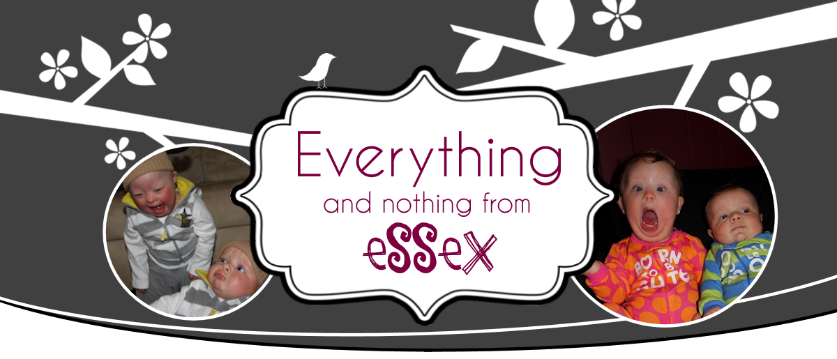 Everything and Nothing from Essex