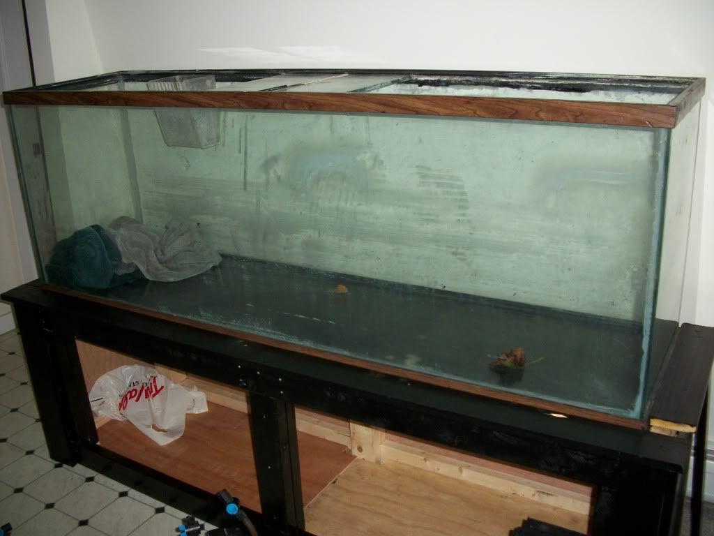 Fluval 303 Canister Filter Manual practicemaster