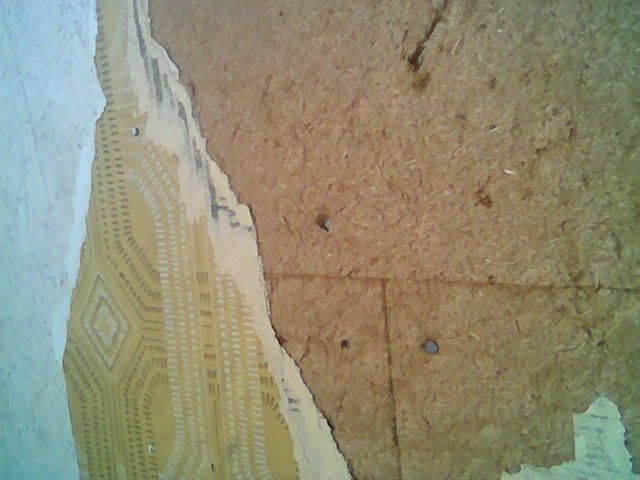 Pilt