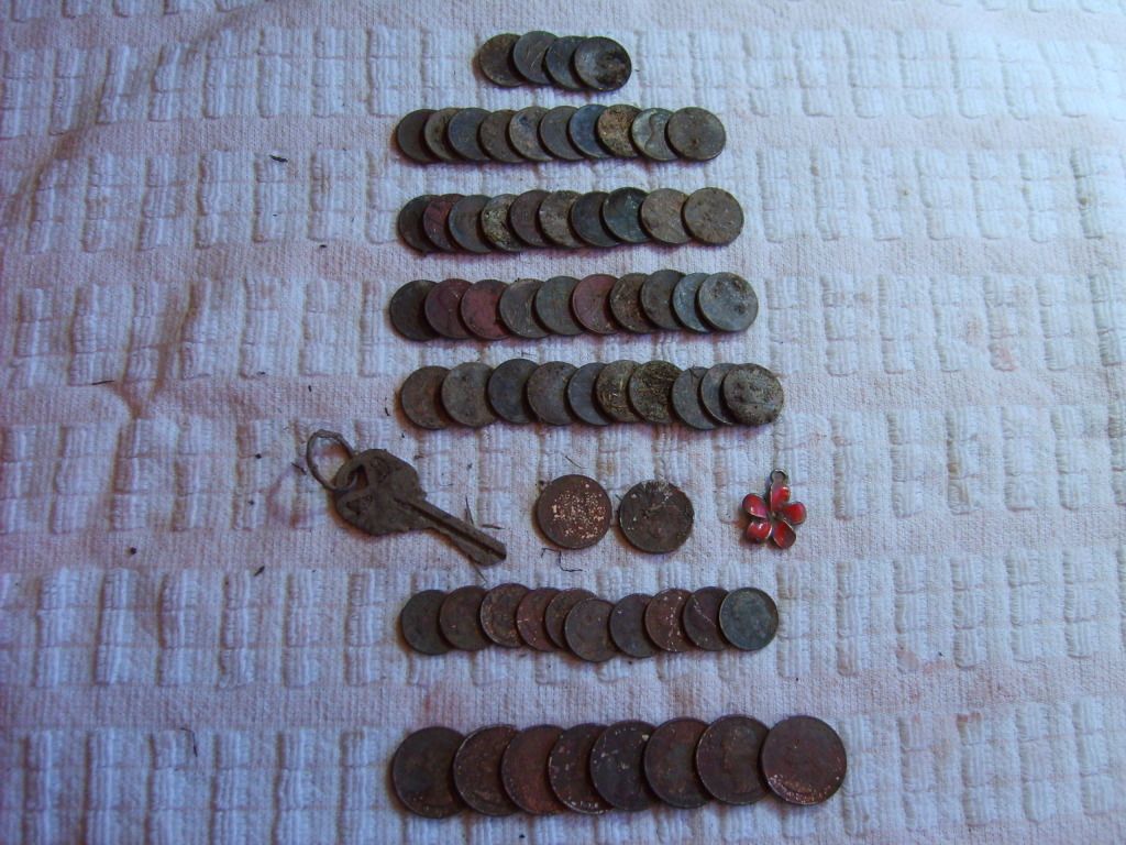 142.jpg