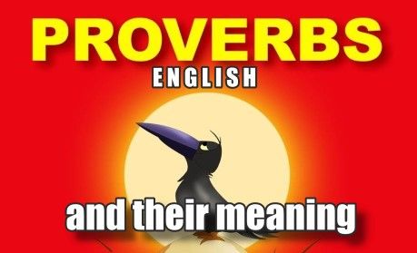 Fifty English proverbs and their meaning 12316604_10284185438