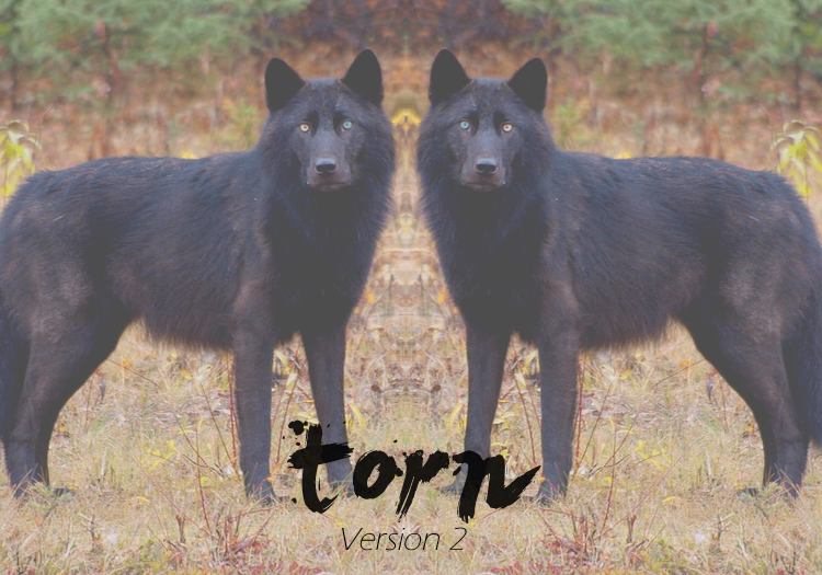 Torn: In the shadow of the mountain