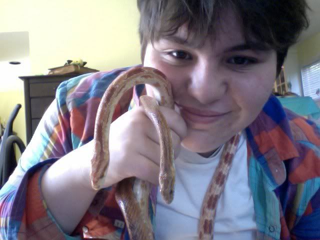 2cornsnakes.jpg