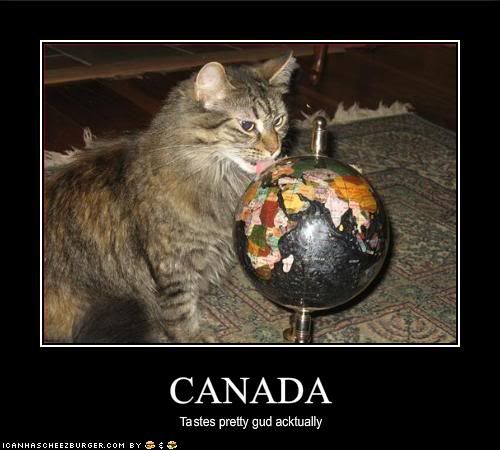 funny-pictures-cat-likes-how-canada-tast