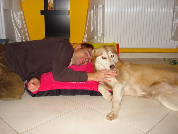 DSC03730_resize.jpg