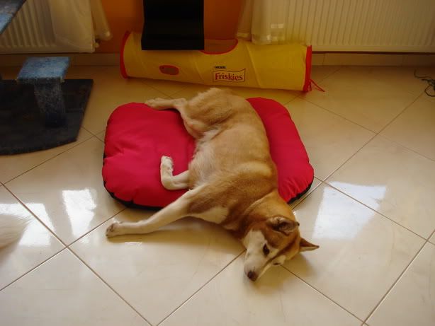 DSC03747_resize.jpg