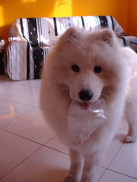 DSC03760_resize.jpg