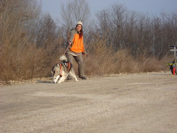 DSC04372_resize.jpg