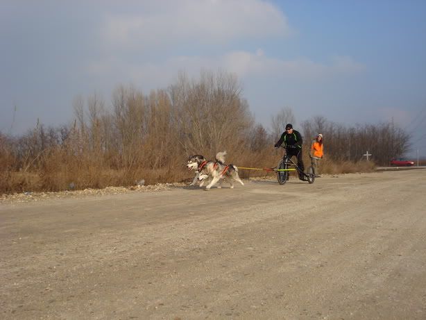 DSC04373_resize.jpg