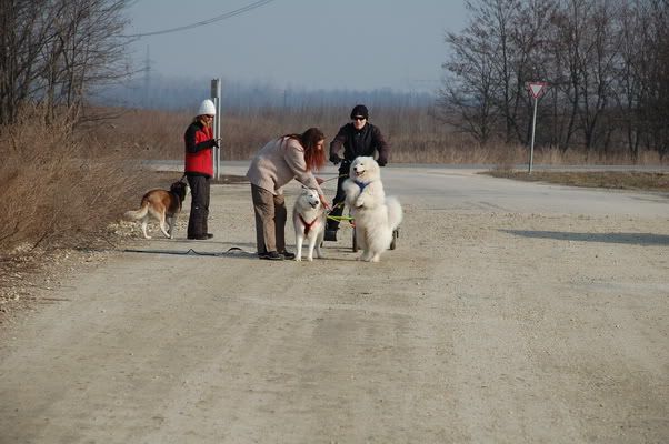 DSC_0019_resize.jpg