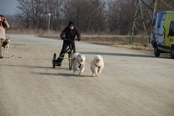 DSC_0021_resize.jpg