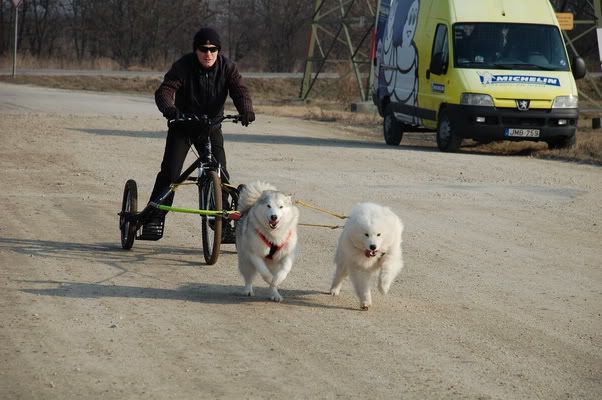 DSC_0022_resize.jpg