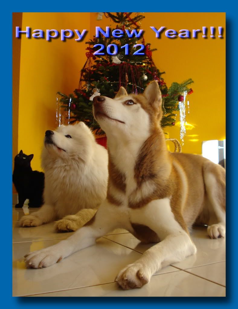 HNY_allatok.jpg