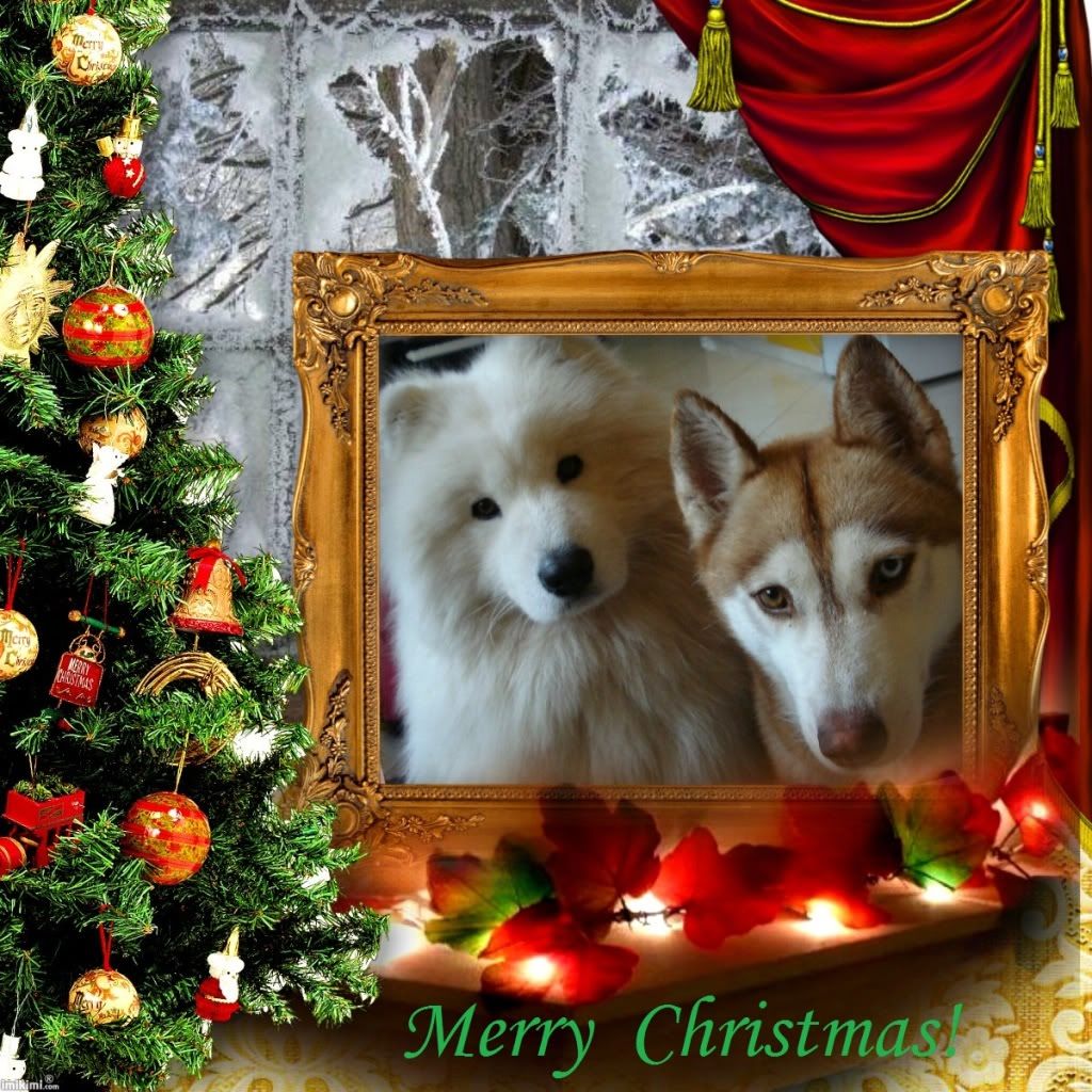 HomeforChristmas-1C5Rh-102-print.jpg