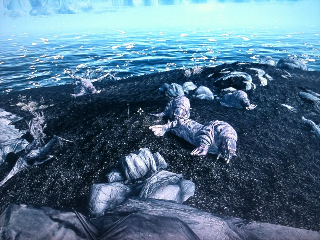 95edbf02.jpg?t=1322842601