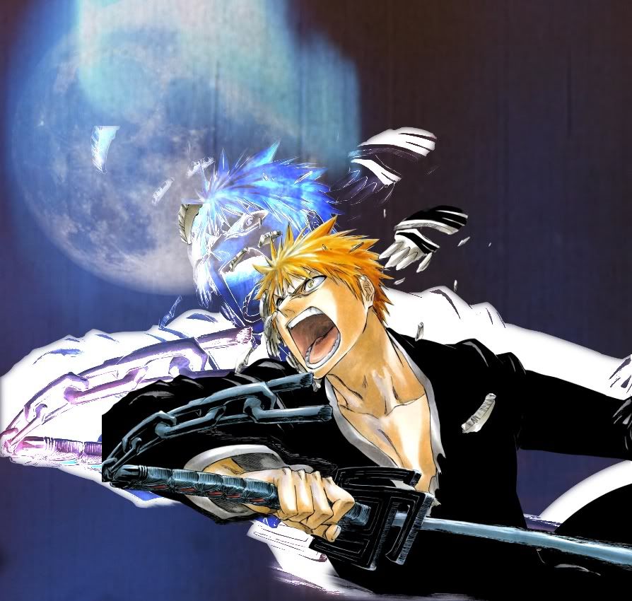 BleachPoster2.jpg?t=1291931079