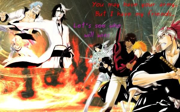 BleachPoster3.jpg?t=1291939854