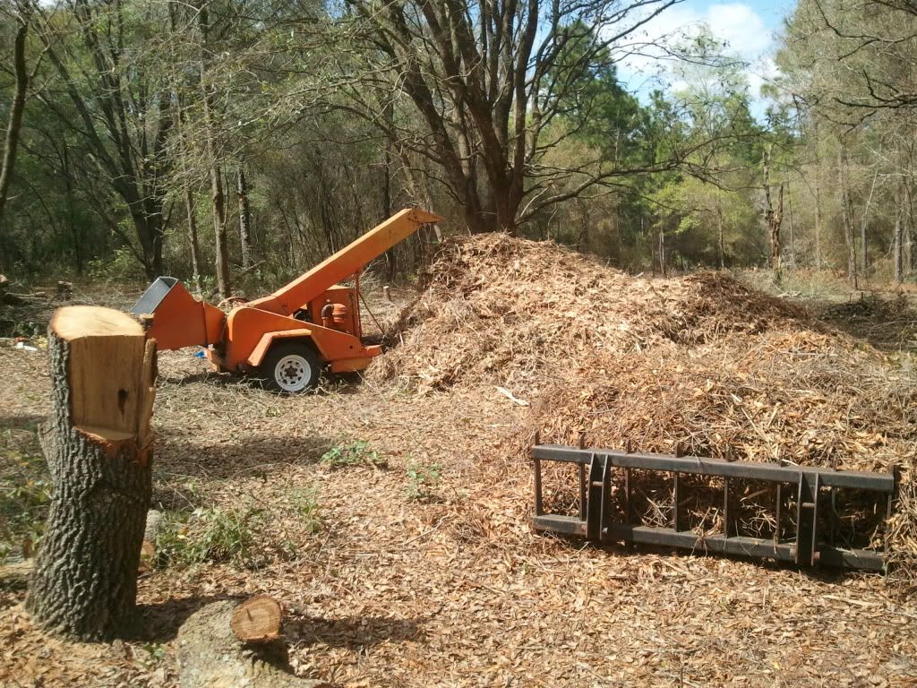 Extreme Composting - Homesteading Questions