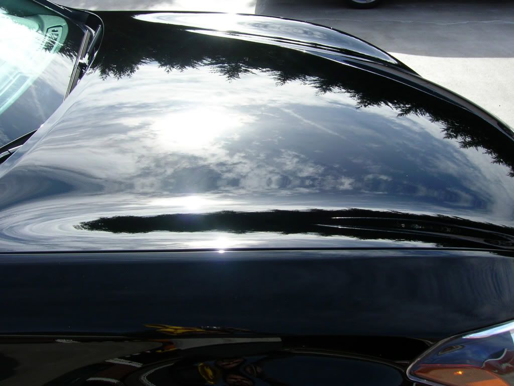 DSCN2615.jpg