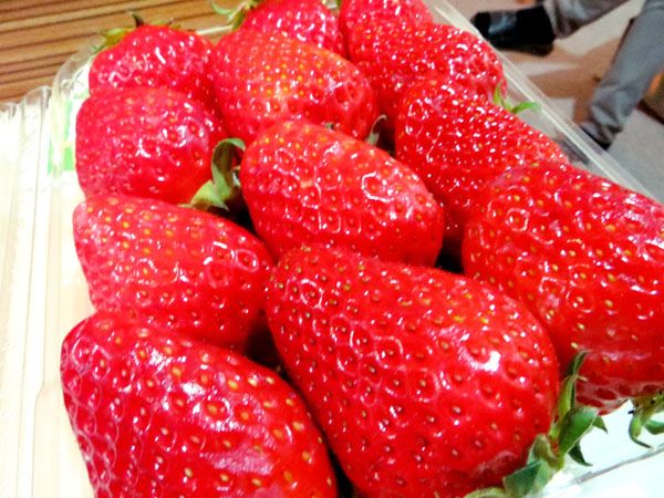 photo food4_zpse19ef809.jpg