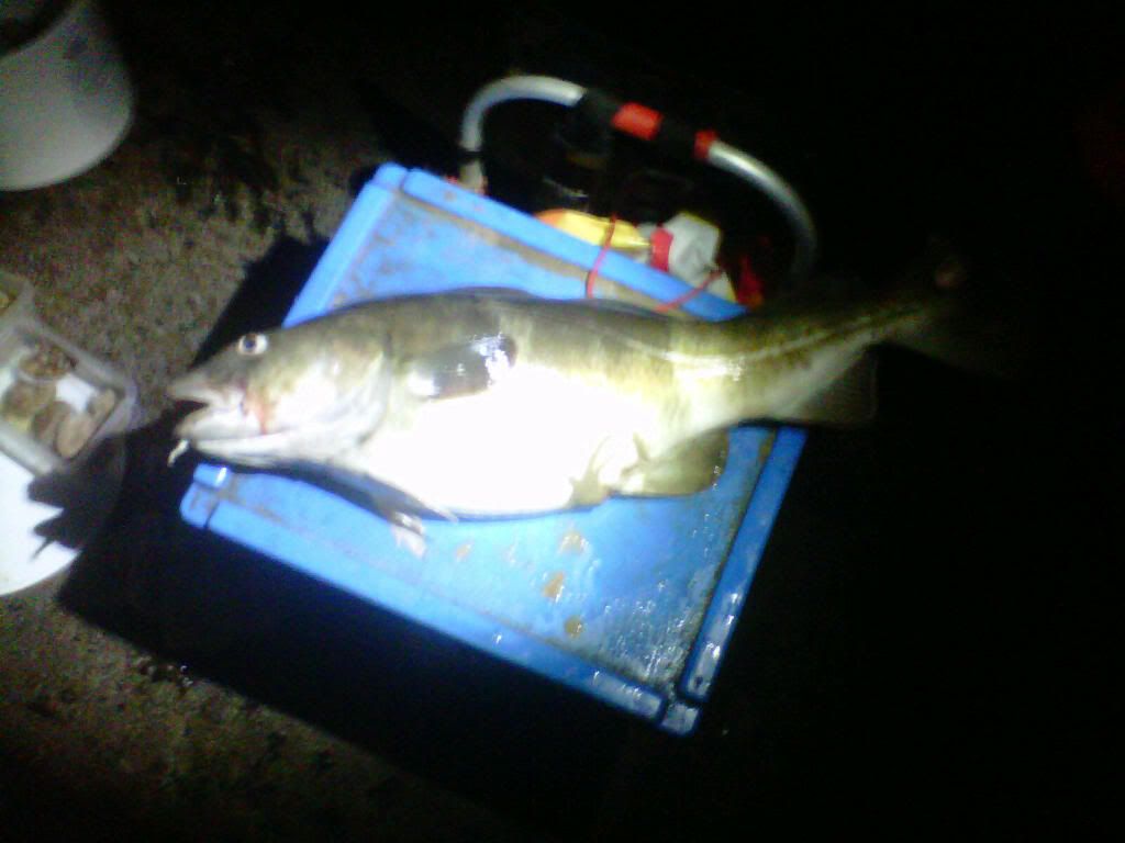 IMG-20111210-00380.jpg