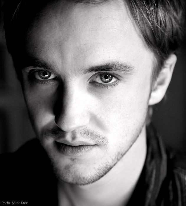 TOM FELTON Pictures, Images and Photos