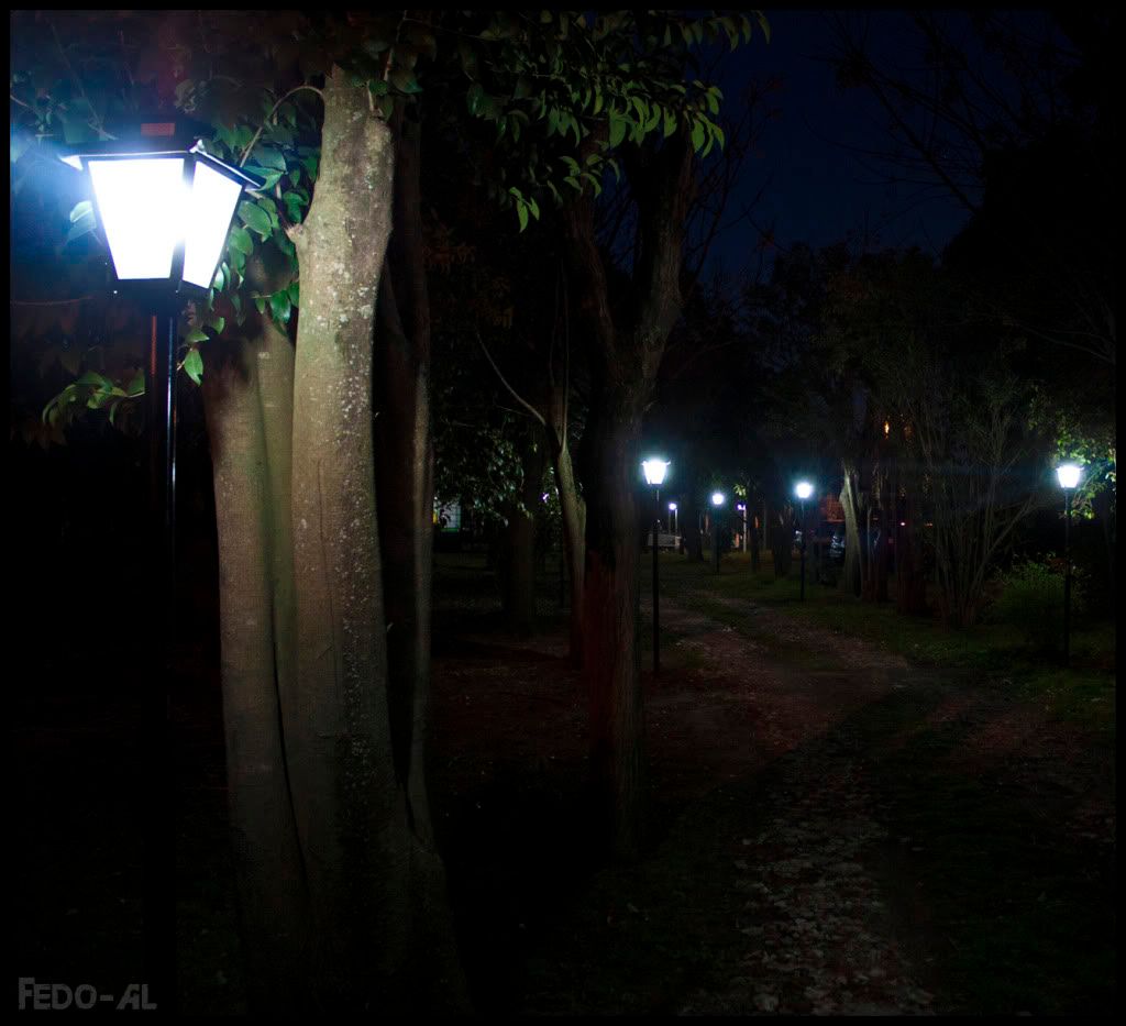 Arbol,Argentina,camino,farol,lamp,lampara,light,luz,night,noche,Path,Tree