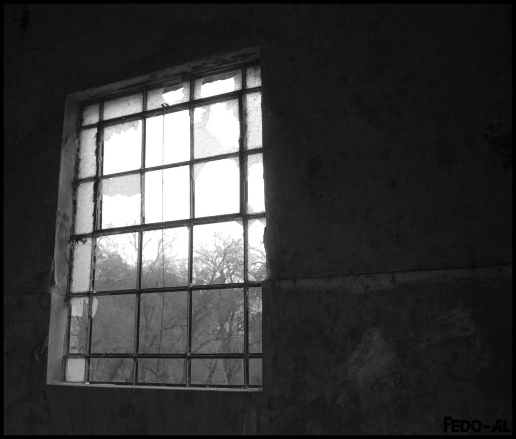 Argentina,B+N,B/W,broken,dark,darkness,oscuridad,oscuro,roto,Trees,Window,Windows