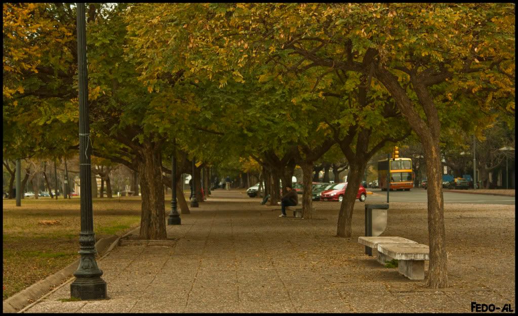 Argentina,bench,camino,City,City Path,ciudad,Green,Invierno,leaves,light,Path,Rosario,Verde,Winter