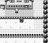 [PokeCommunity.com] THE OFFICIAL NUZLOCKE CHALLENGE THREAD