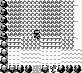 [PokeCommunity.com] THE OFFICIAL NUZLOCKE CHALLENGE THREAD