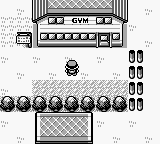 [PokeCommunity.com] THE OFFICIAL NUZLOCKE CHALLENGE THREAD