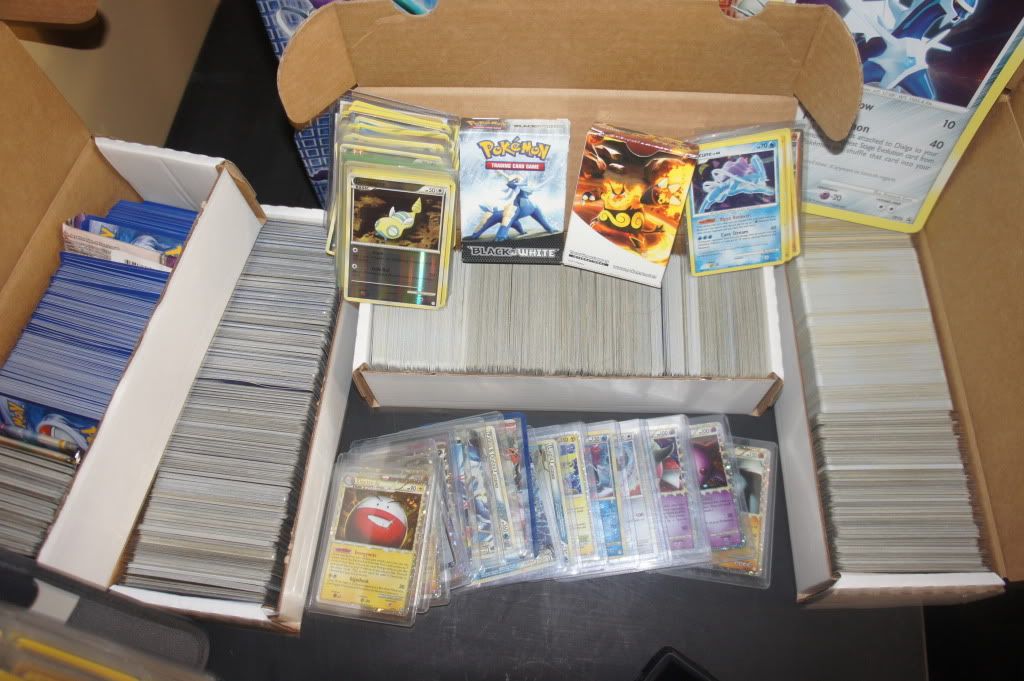[PokeCommunity.com] Post Pics of Your Collection! (Remeber the Four Word Rule!)