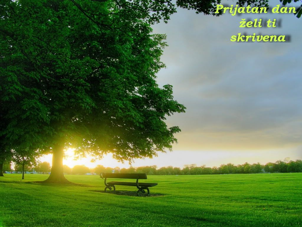 ws_Good_Morning_Sun_1024x768.jpg